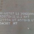 SA387Gr11CL2